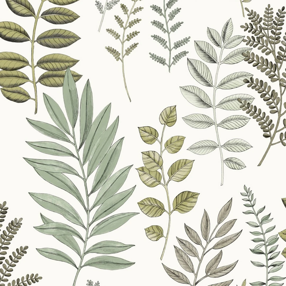 Colección Art of Botany